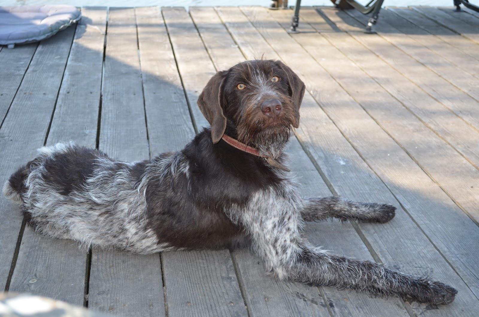 Teslui 2014 - part 2 - image111111111111111111.jpg